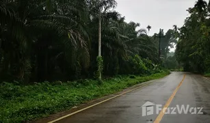 N/A Land for sale in Lam Phi, Phangnga 