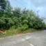 ขายที่ดิน ใน บ่อผุด, สุราษฎร์ธานี, บ่อผุด, เกาะสมุย, สุราษฎร์ธานี