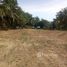  Land for sale in Mexico, Compostela, Nayarit, Mexico