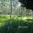  Terrain for sale in Thalang, Phuket, Thep Krasattri, Thalang