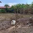  Terreno (Parcela) en venta en Tailandia, Thalang, Phuket, Tailandia