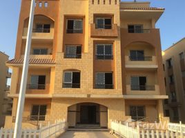 3 Bedroom Apartment for sale at Al Khamayel city, Sheikh Zayed Compounds, Sheikh Zayed City