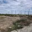  Land for sale at Pinthongland Factory Village, Lahan, Bang Bua Thong, Nonthaburi