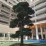 1 Bedroom Condo for rent at Sky Tree Residence, Kilomaetr Lekh Prammuoy