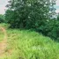  Land for sale in Thailand, Khi Lek, Mae Rim, Chiang Mai, Thailand