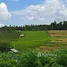  Grundstück zu verkaufen in Tabanan, Bali, Selemadeg, Tabanan, Bali