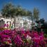 2 chambre Maison de ville à vendre à Flamingo Villas., Al Riffa