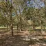 Land for sale in Thung Pho, Prachin Buri, Thung Pho, Na Di, Prachin Buri
