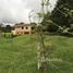  Land for sale in Barva, Heredia, Barva