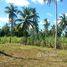  Land for sale in Magallanes, Cavite, Magallanes