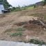  Land for sale in Phra Nakhon Si Ayutthaya, Ban Yai, Phak Hai, Phra Nakhon Si Ayutthaya