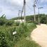 ขายที่ดิน ใน ป่าคลอก, ภูเก็ต, ป่าคลอก, ถลาง