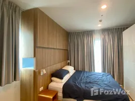 คอนโด 1 ห้องนอน ให้เช่า ในโครงการ วายน์ สุขุมวิท, พระโขนง