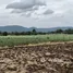  Land for sale in Wang Sai, Nakhon Ratchasima, Wang Sai, Pak Chong