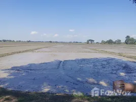  Grundstück zu verkaufen in Phan, Chiang Rai, Than Tawan, Phan, Chiang Rai