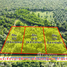  Land for sale in Chumphon, Pak Khlong, Pathio, Chumphon