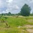  Land for sale in Choeng Thale, Thalang, Choeng Thale