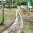  Land for sale in Koh Samui Surat Thani, Maenam, Koh Samui