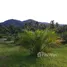  Grundstück zu verkaufen in Pa Khlok, Phuket, Pa Khlok, Thalang