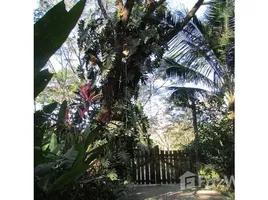 2 Schlafzimmer Haus zu verkaufen in Nicoya, Guanacaste, Nicoya