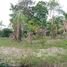  Land for sale in Amazonas, Presidente Figueiredo, Presidente Figueiredo, Amazonas