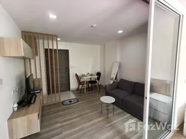 1 Bedroom Apartment for rent at Moniiq Sukhumvit 64, Bang Chak, Phra Khanong, Bangkok