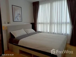 คอนโด 1 ห้องนอน ให้เช่า ในโครงการ แอทโมซ คาแนล รังสิต, บางพูน, เมืองปทุมธานี