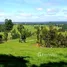  Land for sale in Chile, Los Lagos, Valdivia, Los Rios, Chile
