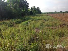 N/A Land for sale in Inthakhin, Chiang Mai 1-1-78 Rai Land in Inthakhin for Sale
