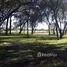  Terrain for sale in Primero De Mayo, Chaco, Primero De Mayo