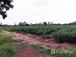  토지을(를) 태국에서 판매합니다., Nong Saeng, 한카, 차이 나트, 태국