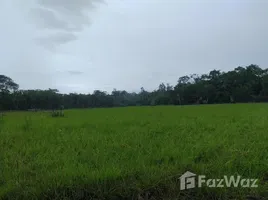  Terreno for sale in Pará, Belém, Pará