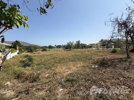 ขายที่ดิน ในโครงการ ปาล์ม ฮิลส์ กอล์ฟ คลับ แอนด์ เรสซิเดนซ์, ชะอำ, ชะอำ, เพชรบุรี