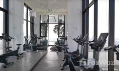Photos 2 of the Communal Gym at Modiz Collection Bangpho