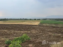 在碧差汶出售的 土地, Na Yom, Mueang Phetchabun, 碧差汶