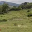  Land for sale in Rionegro, Antioquia, Rionegro