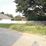  Land for sale in Nong Khwai, Chiang Mai, Nong Khwai