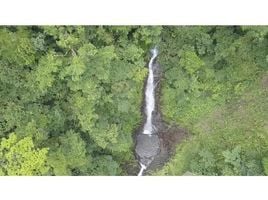  Land for sale in Puntarenas, Osa, Puntarenas