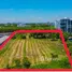  Land for sale in Nong Prue, Pattaya, Nong Prue