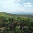  Land for sale in Surat Thani, Bo Phut, Koh Samui, Surat Thani