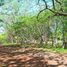  Land for sale in Guanacaste, Santa Cruz, Guanacaste