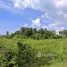  Land for sale in Phuket, Choeng Thale, Thalang, Phuket