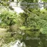  Land for sale in Nong Nam Daeng, Nakhon Ratchasima, Nong Nam Daeng, Pak Chong