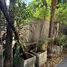 3 chambre Maison for rent in Bangkok, Khlong Toei, Khlong Toei, Bangkok
