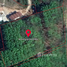  Land for sale in Nong Thale, Mueang Krabi, Nong Thale