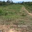  Land for sale in Koh Samui, Bo Phut, Koh Samui
