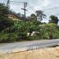  Land for sale in Thalang, Phuket, Sakhu, Thalang