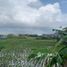  Land for sale in Canggu, Badung, Canggu