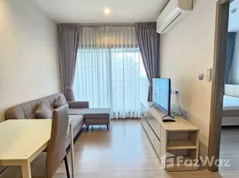 Appartement 1 chambre à louer à Life Asoke Hype, Makkasan, Ratchathewi, Bangkok