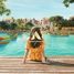 4 спален Дом на продажу в Malta, DAMAC Lagoons